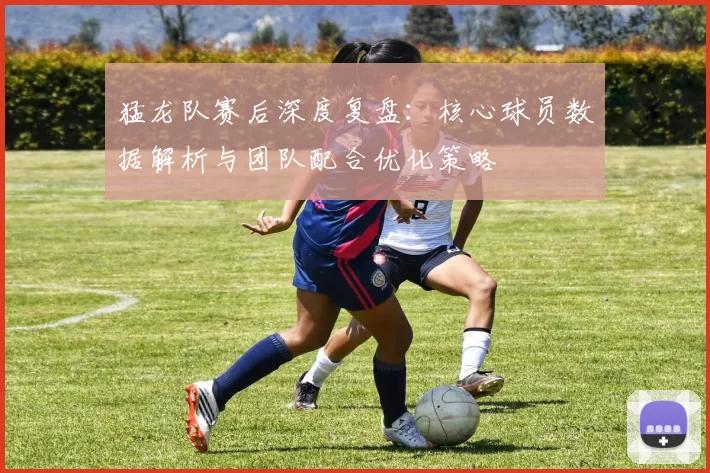 猛龙队赛后深度复盘：核心球员数据解析与团队配合优化策略